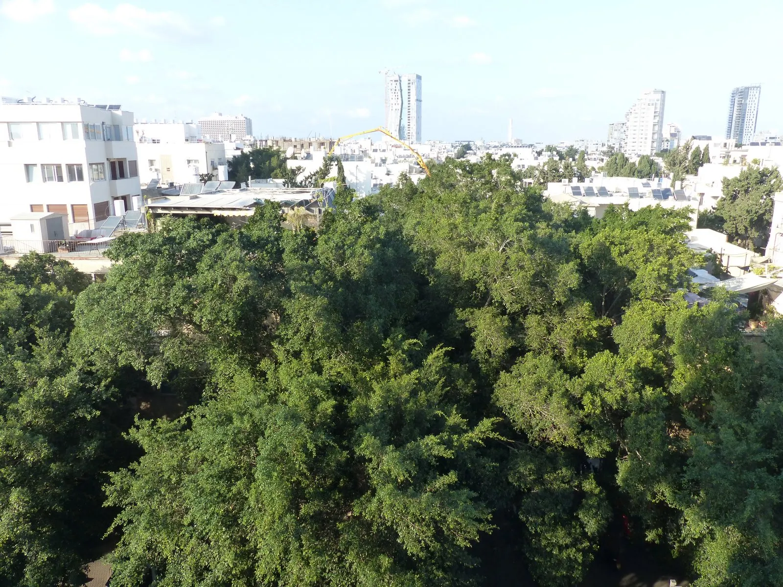 Central Tel Aviv: photo 10 of 10