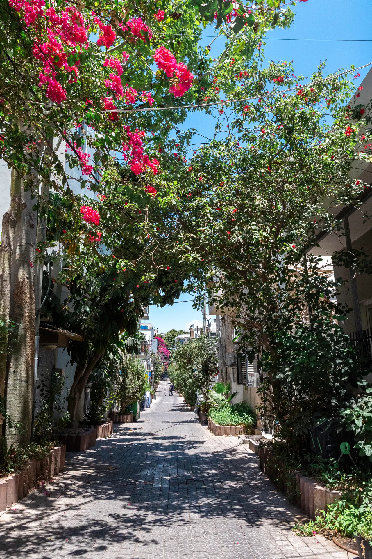 Yemenite Quarter: photo 16 of 27