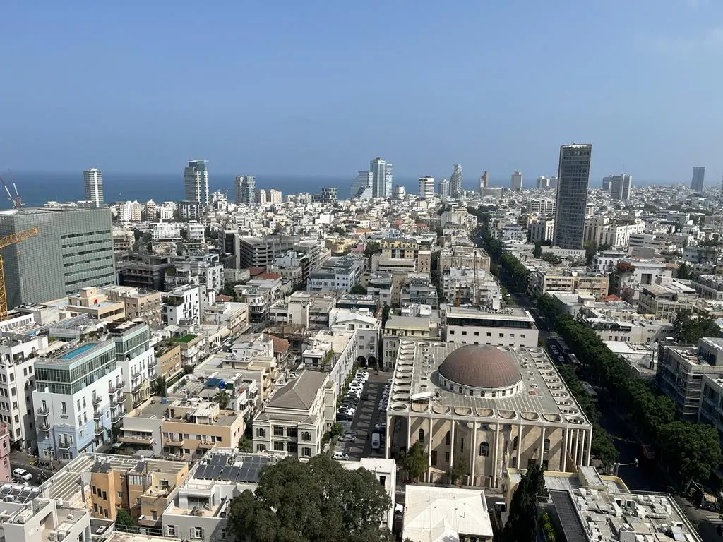 Rothschild area: photo 2 of 13