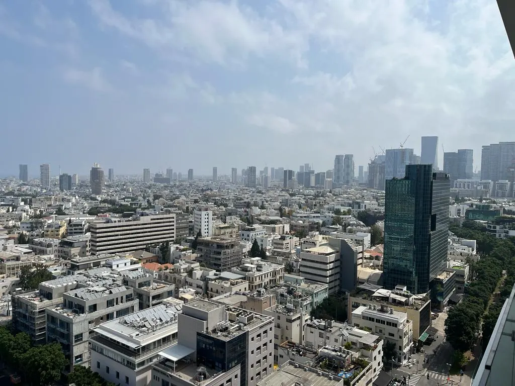Rothschild area: photo 13 of 13